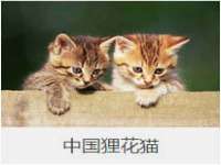 南京墨丘利家居有限公司