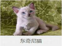 南京墨丘利家居有限公司