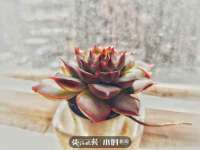 南京墨丘利家居有限公司