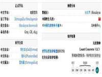 南京墨丘利家居有限公司