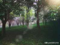 南京墨丘利家居有限公司