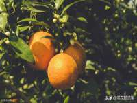 南京墨丘利家居有限公司