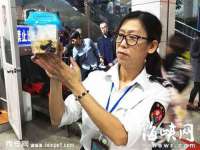南京墨丘利家居有限公司